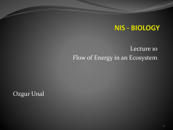 nis - biology