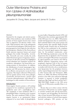 Outer Membrane Proteins and Iron Uptake of Actinobacillus