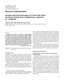 Isolation and Characterization of a Porin‐Like Outer Membrane