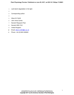 Foliar starch turnover occurs in long days and in falling light at the