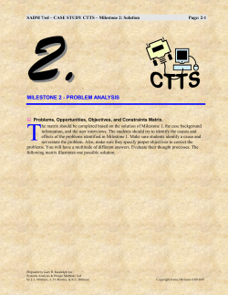 Problems, Opportunities, Objectives, and Constraints