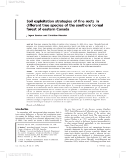 Soil exploitation strategies of fine roots in different - Archipel