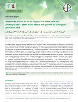 Interactive effects of water supply and defoliation