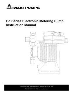 EZ Series Electronic Metering Pump Instruction Manual