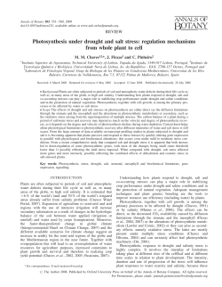 Photosynthesis under drought and salt stress