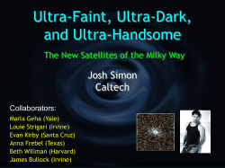 Dark Galaxies