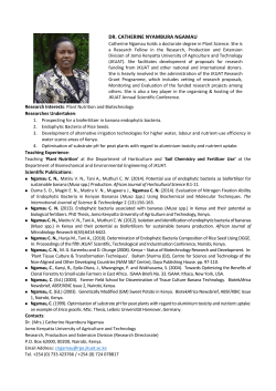 Personal-Profile-CNN