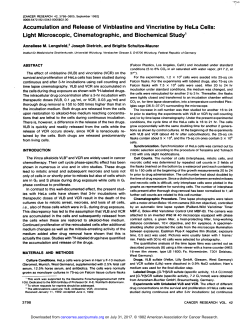 Accumulation and Release of Vinblastine and