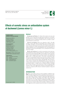 Effects of osmotic stress on antioxidative system of duckweed