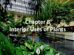 Chapter 8 Interior Uses of Plants