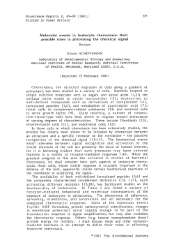 Molecular events in leukocyte chemotaxis: their possible roles in