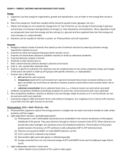 EXAM 3 &ndash; ENERGY, ENZYMES AND METABOLISM STUDY GUIDE