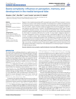 Scene complexity: influence on perception, memory, and