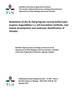 leafed lupin - Epsilon Archive for Student Projects