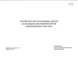 oyster spat set on natural cultch in the maryland portion of the