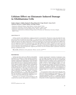 Lithium Effect on Glutamate Induced Damage in Glioblastoma Cells