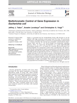 Multichromatic Control of Gene Expression in