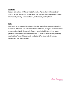 Bacanora Bacanora is a type of Mezcal made from the Agave plant