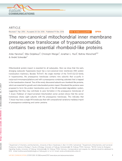 The non-canonical mitochondrial inner membrane