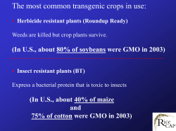 Insect resistant plants (BT)