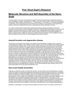 full research description