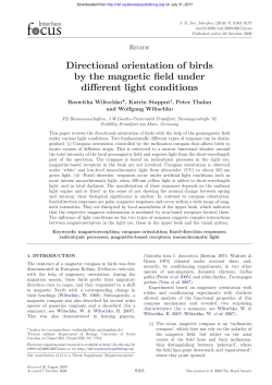 Directional orientation of birds by the magnetic field under different