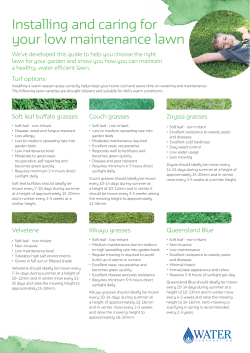 Installing and caring for your low maintenance lawn