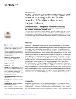 Highly sensitive sandwich immunoassay and