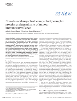 Nonclassical major histocompatibility complex proteins as