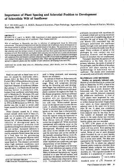 Importance of Plant Spacing and Sclerotial Position to Development