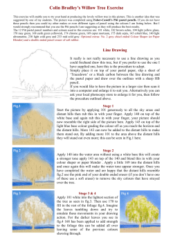 Colin Bradley`s Willow Tree Exercise