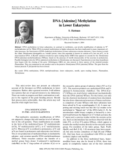 DNA [Adenine] Methylation in Lower Eukaryotes