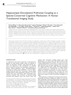 Dorsolateral Prefrontal Coupling as a Species