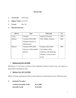 y&uuml;ksek&ouml;ğretim kurulu - İstanbul Medipol &Uuml;niversitesi
