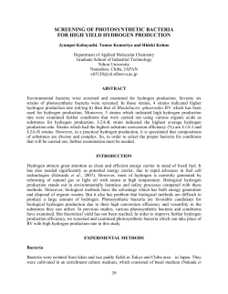 screening of photosynthetic bacteria for high yield hydrogen