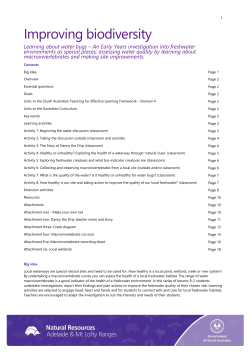 Learning about water bugs - Natural Resources South Australia