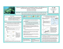 ICRS poster Wormald and Steele
