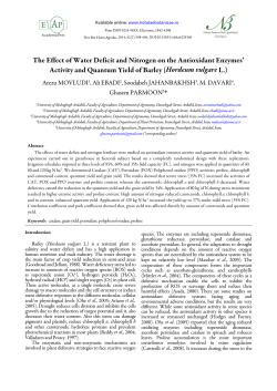 The Effect of Water Deficit and Nitrogen on the Antioxidant Enzymes