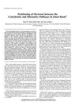 Partitioning of Electrons between the Cytochrome