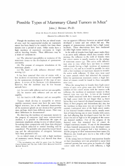 Possible Types of Mammary Gland Tumors in Mice