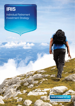 Individual Retirement Investment Strategy
