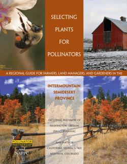 Selecting Plants for Pollinators