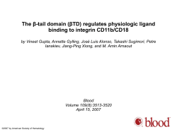 Reactivity of WT and &beta;TD mutant CD11b/CD18 with