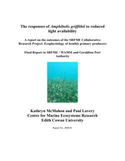 The responses of Amphibolis griffithii to reduced light availability
