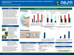 The Nitrogen Cycle is Altered by Succession Internship Project