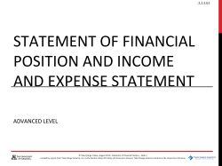 statement of financial position and income and expense statement