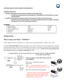 Anchor 3 Packet Answers
