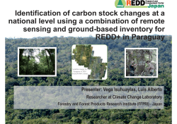 Identification of carbon stock changes at a national level using a