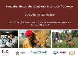 Breaking down the Livestock-Nutrition Pathway - CGSpace