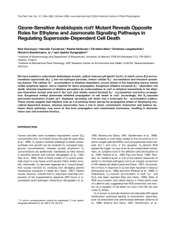 Ozone-Sensitive Arabidopsis rcd1 Mutant Reveals